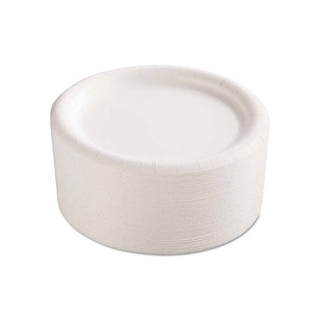 Paper Plates